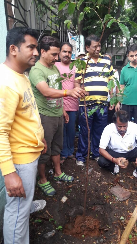 whatsapp image 2025 11 19 at 18.24.55 e4ce6b73